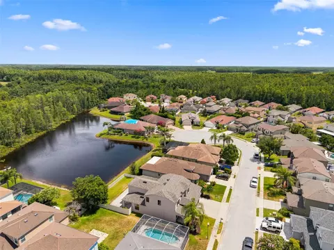 View/Area - 1120 Maza Pl, Trinity, FL 34655 photo 8 of 8