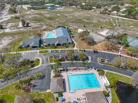 View/Area - 13403 Beechberry Dr, Riverview, FL 33579 photo 6 of 10