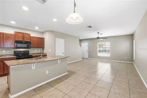 Living - 4715 Chatterton Way, Riverview, FL 33578 photo 5 of 6