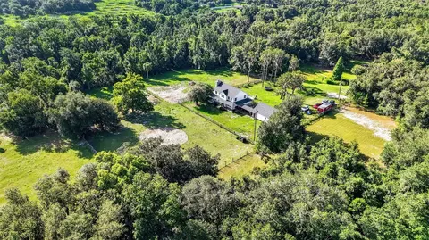 View/Area - 8922 Pritcher Rd, Lithia, FL 33547 photo 6 of 15