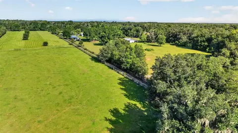 View/Area - 8922 Pritcher Rd, Lithia, FL 33547 photo 9 of 15