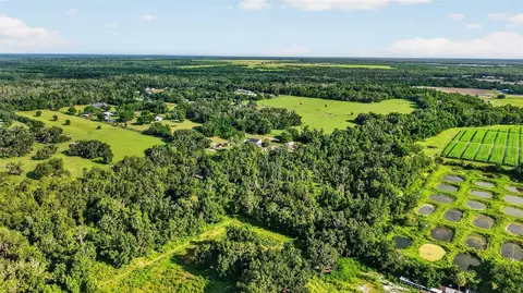 View/Area - 8922 Pritcher Rd, Lithia, FL 33547 photo 14 of 15