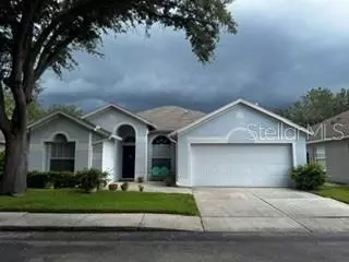 8806 Cypress Hammock Dr, Tampa, FL 33614