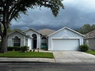 8806 Cypress Hammock Dr, Tampa, FL 33614