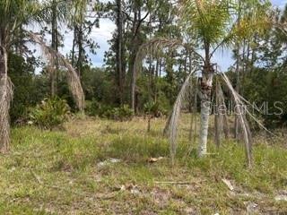 823 Pandora Dr, Indian Lake Estates, FL 33855