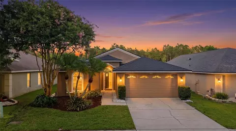4510 New Dawn Ct, Lutz, FL 33558