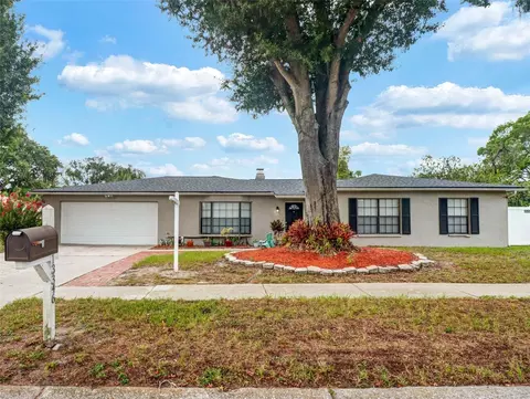 13346 Moran Dr, Tampa, FL 33618
