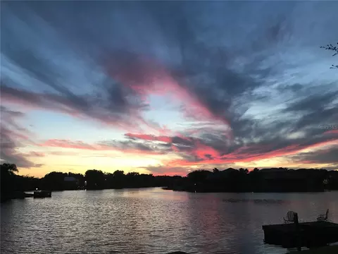 View/Area - 18018 Java Isle Dr, Tampa, FL 33647 photo 5 of 13