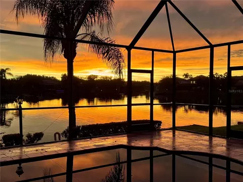 View/Area - 18018 Java Isle Dr, Tampa, FL 33647 photo 7 of 13