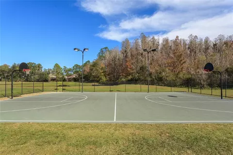 Other - 18018 Java Isle Dr, Tampa, FL 33647 photo 9 of 10