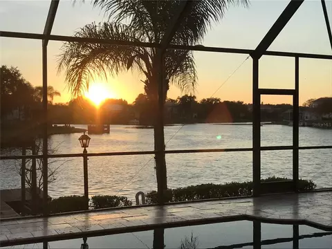 View/Area - 18018 Java Isle Dr, Tampa, FL 33647 photo 6 of 13