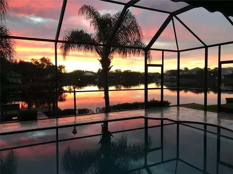 18018 Java Isle Dr, Tampa, FL 33647