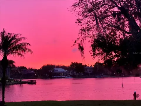 View/Area - 18018 Java Isle Dr, Tampa, FL 33647 photo 8 of 13