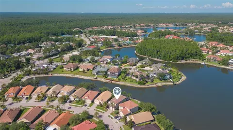 View/Area - 18018 Java Isle Dr, Tampa, FL 33647 photo 11 of 13