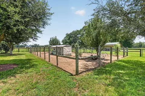 Exterior - 2556 NE 120th St, Anthony, FL 32617 photo 13 of 13