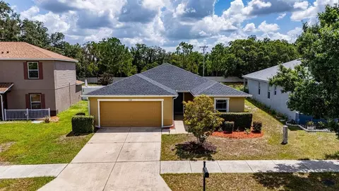11018 Running Pine Dr, Riverview, FL 33569 photo 1