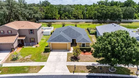 11018 Running Pine Dr, Riverview, FL 33569 photo 2