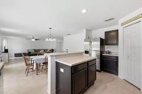 11018 Running Pine Dr, Riverview, FL 33569 photo 10