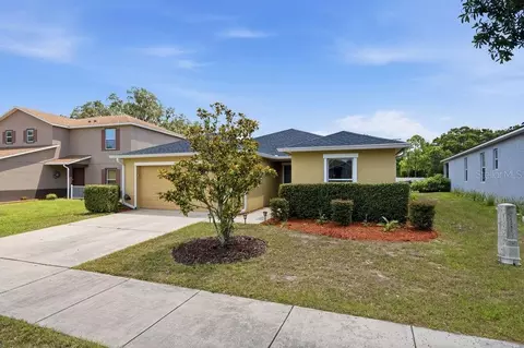 11018 Running Pine Dr, Riverview, FL 33569 photo 17