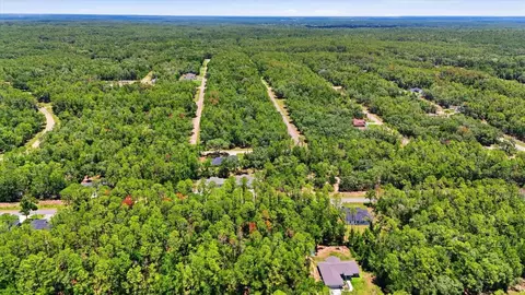 View/Area - 232 E Falcon St, Dunnellon, FL 34434 photo 7 of 7