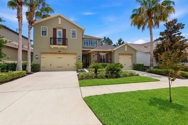 14231 Avon Farms Dr, Tampa, FL 33618