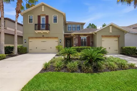 14231 Avon Farms Dr, Tampa, FL 33618
