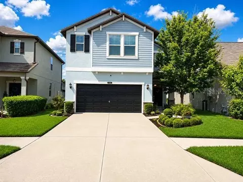 8913 Flourish Dr, Land O Lakes, FL 34637