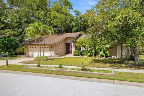 4733 Lake Valencia Blvd W, Palm Harbor, FL 34684