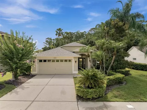 13108 Royal George Ave, Odessa, FL 33556