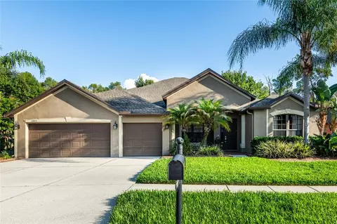14815 Ninebark Ct, Land O Lakes, FL 34638