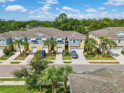View/Area - 1309 Sunset Wind Loop, Oldsmar, FL 34677 photo 8 of 8