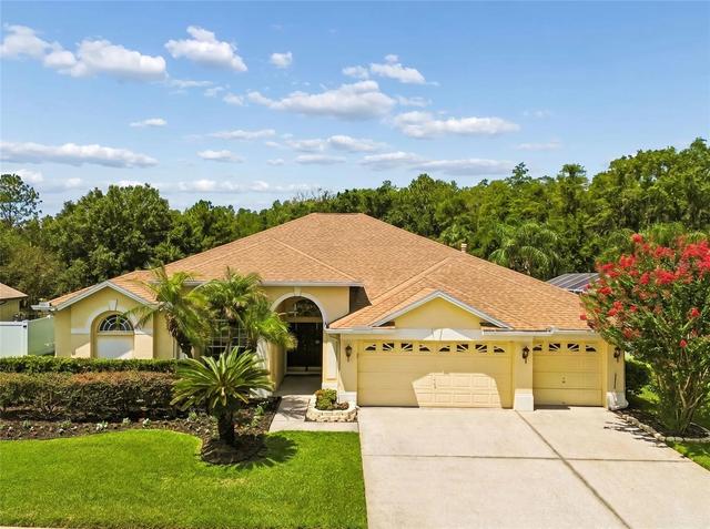 10111 Kingshyre Way, Tampa, FL 33647