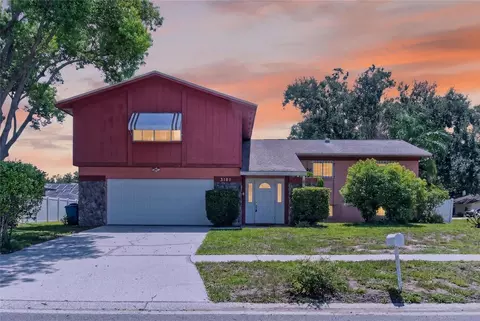 3101 Buttercup St, Seffner, FL 33584