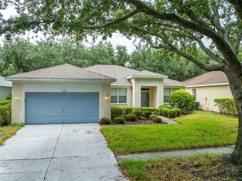 11112 Holly Cone Dr, Riverview, FL 33569 photo 1