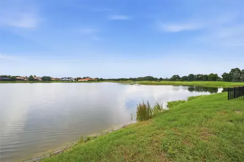 10341 Altrara Way, Trinity, FL 34655 photo 24