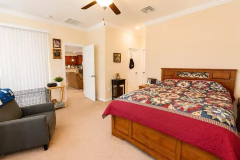 Bedroom - 13842 Bee Tree Ct, Hudson, FL 34669 photo 2 of 7
