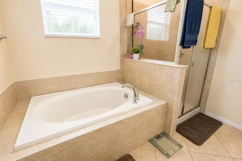 Bath - 13842 Bee Tree Ct, Hudson, FL 34669 photo 2 of 8