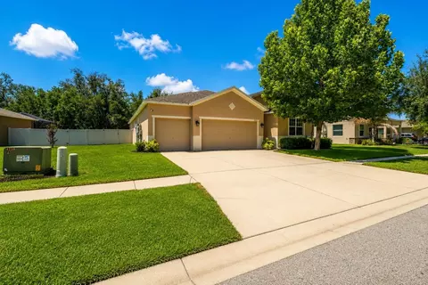 Exterior - 13842 Bee Tree Ct, Hudson, FL 34669 photo 16 of 17