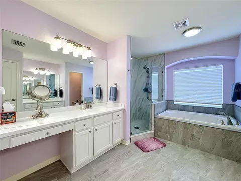 11441 Dutch Iris Dr, Riverview, FL 33578 photo 18