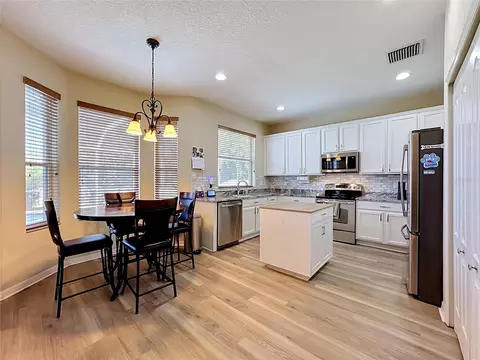 11441 Dutch Iris Dr, Riverview, FL 33578 photo 9