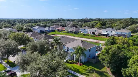 11441 Dutch Iris Dr, Riverview, FL 33578 photo 39