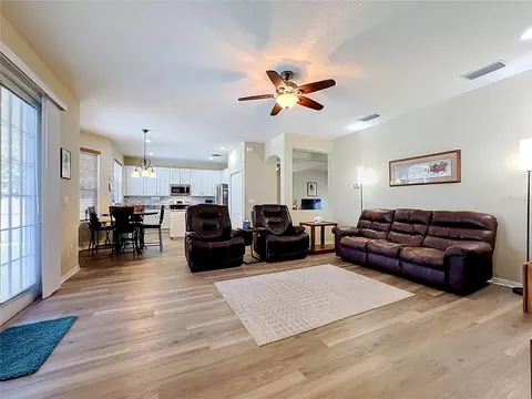 11441 Dutch Iris Dr, Riverview, FL 33578 photo 12
