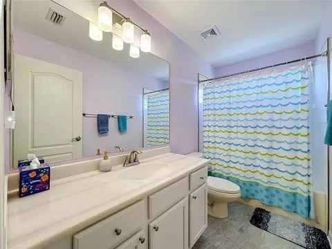 11441 Dutch Iris Dr, Riverview, FL 33578 photo 24