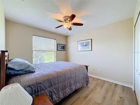 11441 Dutch Iris Dr, Riverview, FL 33578 photo 23