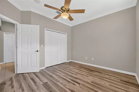 Bedroom - 12519 River Birch Dr, Riverview, FL 33569 photo 5 of 5