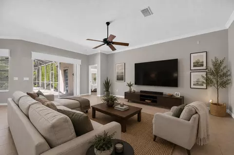 Living - 12519 River Birch Dr, Riverview, FL 33569 photo 4 of 6