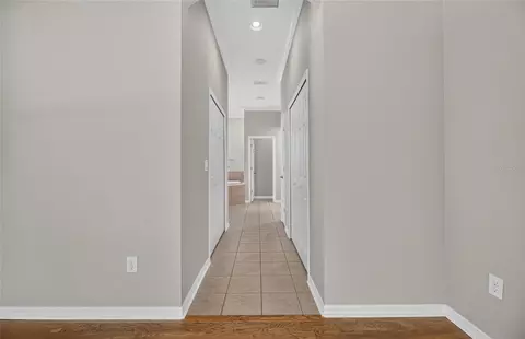 Entry Way - 12519 River Birch Dr, Riverview, FL 33569 photo 4 of 6