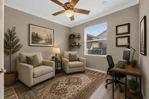 Other - 12519 River Birch Dr, Riverview, FL 33569 photo 6 of 8