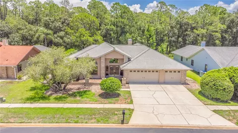 3792 Windber Blvd, Palm Harbor, FL 34685