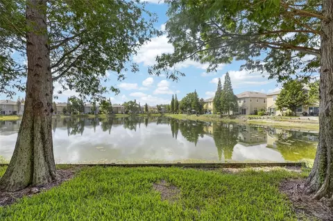 View/Area - 8833 Moonlit Meadows Loop, Riverview, FL 33578 photo 3 of 8